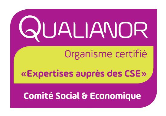 Logo Qualianor certification Expert CSE