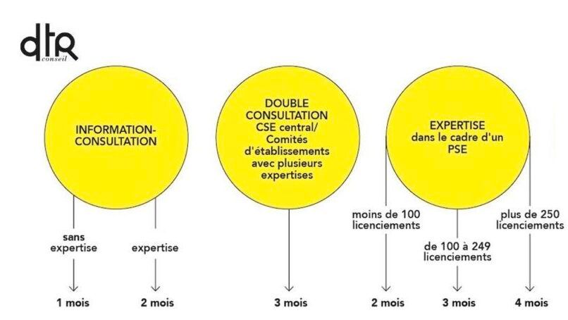 expertise projet important